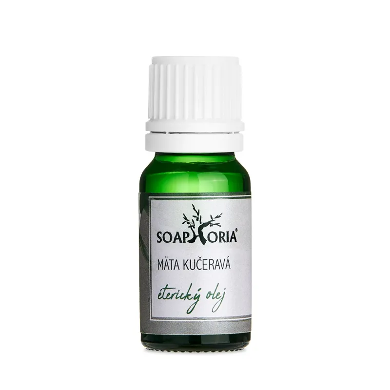 Mentha Spicata - Spearmint Mentha Spicata - Spearmint