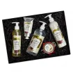 Olive Tree - Gift Box