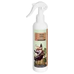 Born to be an Icon - All-Purpose Eco-Friendly Cleaner