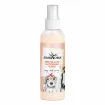 Sprej na rozčesávání vlasů - Easy Comb Spray
